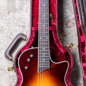 Taylor T5z Standard, Tobacco Sunburst