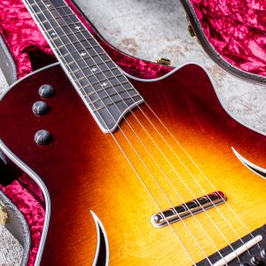 Taylor T5z Standard, Tobacco Sunburst