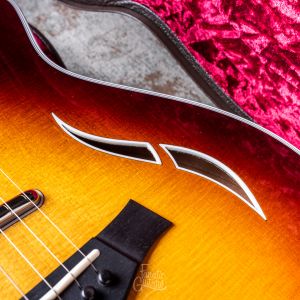 Taylor T5z Standard, Tobacco Sunburst