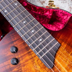 Taylor T5z Classic, Koa