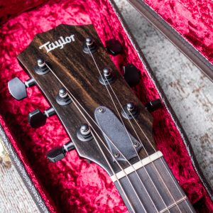 Taylor T5z Classic, Koa