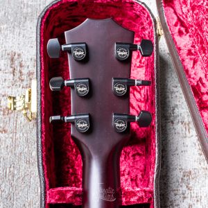 Taylor T5z Classic, Koa