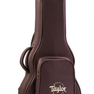 Taylor GTe Urban Ash