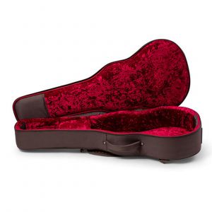 Taylor GTe Urban Ash