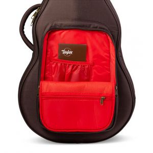 Taylor GTe Urban Ash