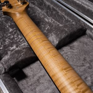 Ramos Oculus #OC002 Zurda