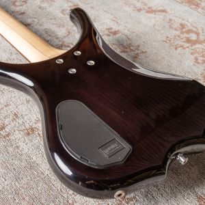 Warwick RockBass Infinity 5-String Bass – Nirvana Black Transparent