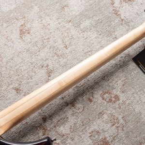 Warwick RockBass Infinity 5-String Bass – Nirvana Black Transparent