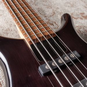 Warwick RockBass Infinity 5-String Bass – Nirvana Black Transparent
