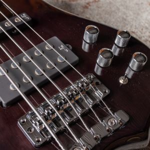 Warwick RockBass Infinity 5-String Bass – Nirvana Black Transparent
