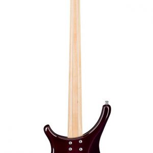 Warwick RockBass Infinity Electric Bass – Nirvana Black Transparent