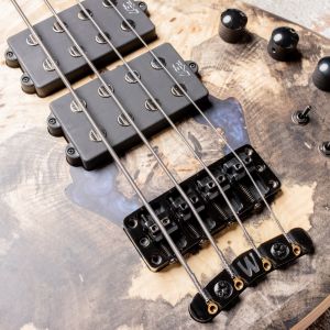 Warwick Teambuilt Corvette $$ 4 2019 Black Trans