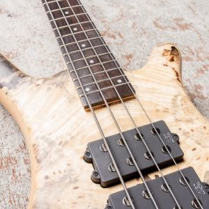 Warwick Teambuilt Corvette $$ 4 2019 Black Trans