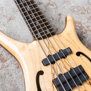 Warwick Custom Shop Infinity, 5-String - Natural High Polish