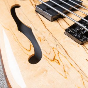 Warwick Custom Shop Infinity, 5-String - Natural High Polish