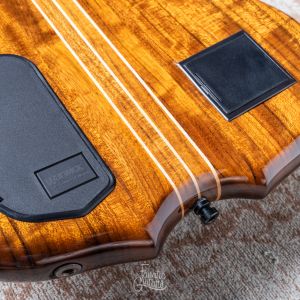 Warwick Custom Shop Infinity, 5-String - Natural High Polish