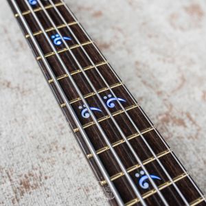 Warwick Custom Shop Infinity, 5-String - Natural High Polish